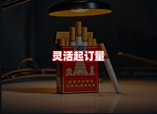 专业团队